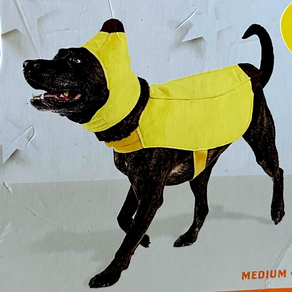NWT Hyde and Eek Banana 🍌 🐶🐾 Dog Costume Size Medium & Matching Banana Dog Toy